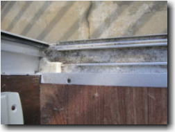 ���K���X�T�b�V�r�t�H�A�[